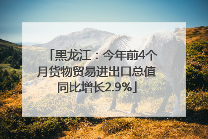 黑龙江：今年前4个月货物贸易进出口总值同比增长2.9%