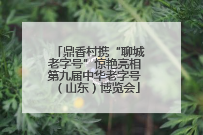 鼎香村携“聊城老字号”惊艳亮相第九届中华老字号（山东）博览会