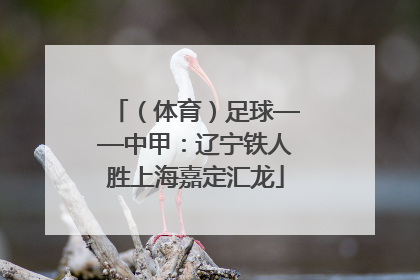 （体育）足球——中甲：辽宁铁人胜上海嘉定汇龙