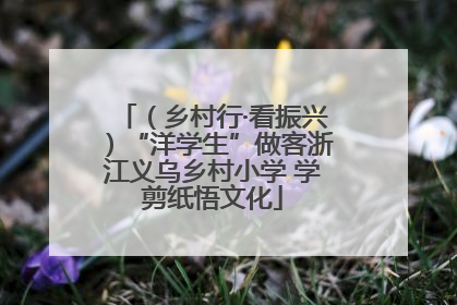 （乡村行·看振兴）“洋学生”做客浙江义乌乡村小学 学剪纸悟文化