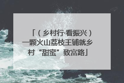 （乡村行·看振兴）一颗火山荔枝王铺就乡村“甜蜜”致富路