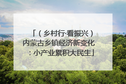（乡村行·看振兴）内蒙古乡镇经济新变化：小产业累积大民生