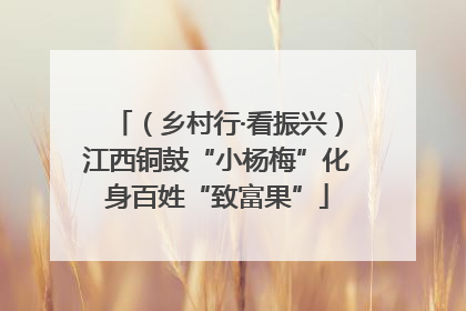 （乡村行·看振兴）江西铜鼓“小杨梅”化身百姓“致富果”