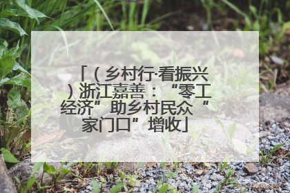（乡村行·看振兴）浙江嘉善：“零工经济”助乡村民众“家门口”增收