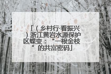 （乡村行·看振兴）浙江黄岩水源保护区蝶变：“一根金枝”的共富密码
