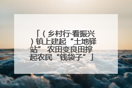 （乡村行·看振兴）镇上建起“土地驿站” 农田变良田撑起农民“钱袋子”