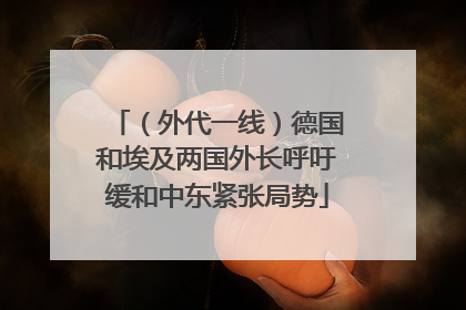 （外代一线）德国和埃及两国外长呼吁缓和中东紧张局势