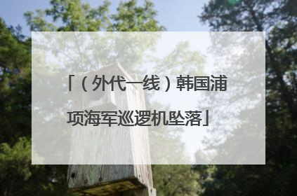 （外代一线）韩国浦项海军巡逻机坠落