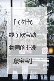 （外代二线）欧宝动物园的非洲象宝宝