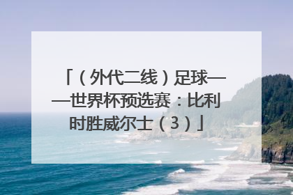 （外代二线）足球——世界杯预选赛：比利时胜威尔士（3）