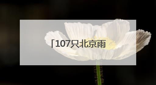 107只北京雨燕在颐和园完成年度“体检”