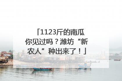 1123斤的南瓜你见过吗？潍坊“新农人”种出来了！