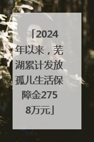 2024年以来，芜湖累计发放孤儿生活保障金2758万元