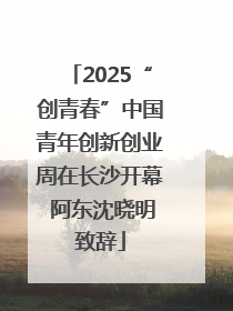 2025“创青春”中国青年创新创业周在长沙开幕 阿东沈晓明致辞