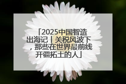 2025中国智造出海记丨关税风波下，那些在世界最前线开疆拓土的人