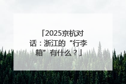 2025京杭对话：浙江的“行李箱”有什么？