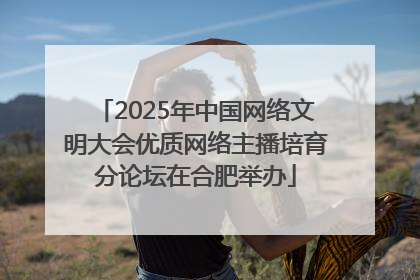 2025年中国网络文明大会优质网络主播培育分论坛在合肥举办