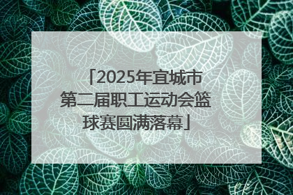 2025年宜城市第二届职工运动会篮球赛圆满落幕