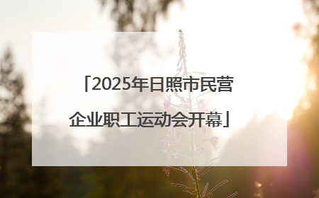2025年日照市民营企业职工运动会开幕