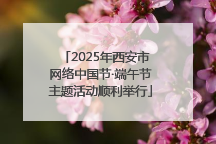 2025年西安市网络中国节·端午节主题活动顺利举行