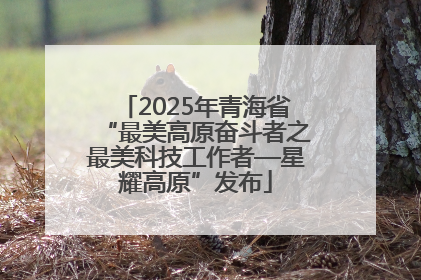 2025年青海省“最美高原奋斗者之最美科技工作者—星耀高原”发布