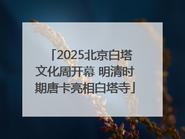 2025北京白塔文化周开幕 明清时期唐卡亮相白塔寺