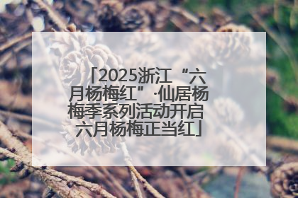 2025浙江“六月杨梅红”·仙居杨梅季系列活动开启 六月杨梅正当红