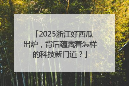 2025浙江好西瓜出炉，背后蕴藏着怎样的科技新门道？