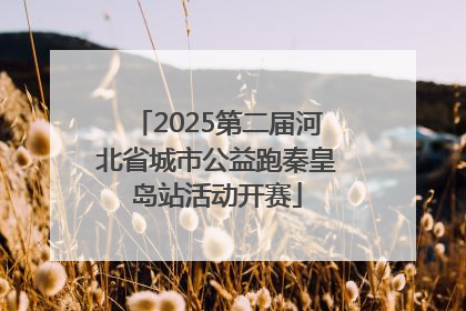 2025第二届河北省城市公益跑秦皇岛站活动开赛