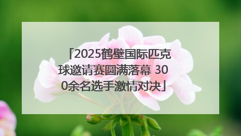 2025鹤壁国际匹克球邀请赛圆满落幕 300余名选手激情对决
