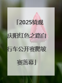 2025骑观庆阳红色之路自行车公开赛爬坡赛落幕