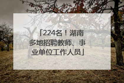 224名！湖南多地招聘教师、事业单位工作人员