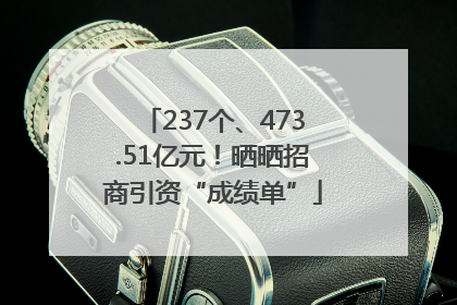 237个、473.51亿元！晒晒招商引资“成绩单”