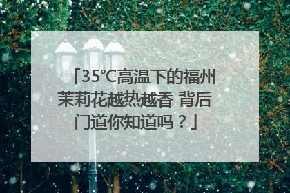35℃高温下的福州茉莉花越热越香 背后门道你知道吗？