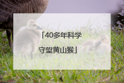 40多年科学守望黄山猴