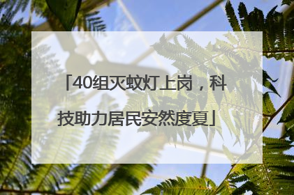 40组灭蚊灯上岗，科技助力居民安然度夏