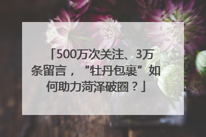 500万次关注、3万条留言，“牡丹包裹”如何助力菏泽破圈？
