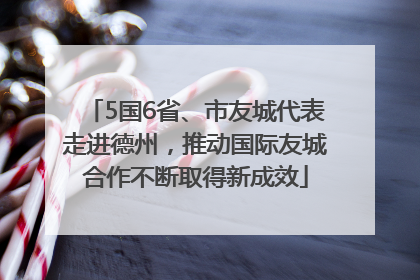 5国6省、市友城代表走进德州，推动国际友城合作不断取得新成效