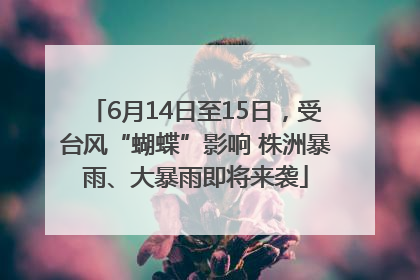 6月14日至15日，受台风“蝴蝶”影响 株洲暴雨、大暴雨即将来袭
