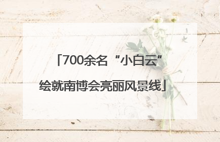 700余名“小白云”绘就南博会亮丽风景线