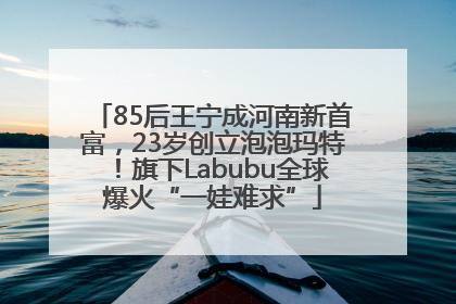 85后王宁成河南新首富，23岁创立泡泡玛特！旗下Labubu全球爆火“一娃难求”