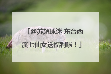 @苏超球迷 东台西溪七仙女送福利啦！