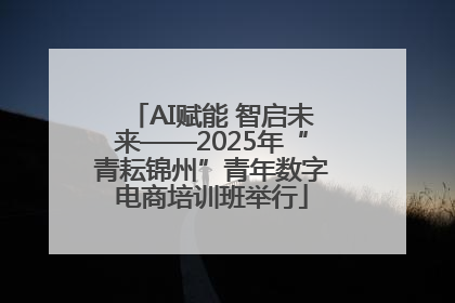 AI赋能 智启未来——2025年“青耘锦州”青年数字电商培训班举行