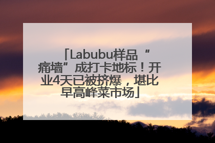 Labubu样品“痛墙”成打卡地标！开业4天已被挤爆，堪比早高峰菜市场