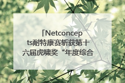 Netconcepts耐特康赛斩获第十六届虎啸奖“年度综合服务商”大奖