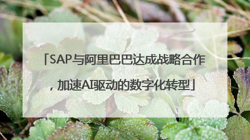 SAP与阿里巴巴达成战略合作，加速AI驱动的数字化转型